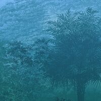 Fototapeet Deep in the Jungle INX8-052