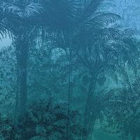 Fototapeet Deep in the Jungle INX8-052