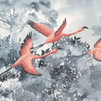 Fototapeet Flamingos in the Sky INX8-053