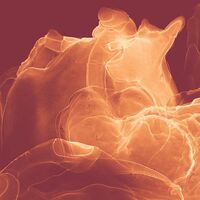 Fototapeet Evoke INX8-073