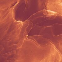 Fototapeet Evoke INX8-073