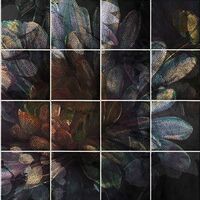 Fototapeet Tiles Flowers INX8-080