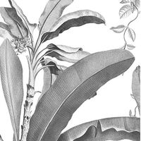 Фотообои Croissances Monochrome INX8-082