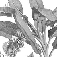 Фотообои Croissances Monochrome INX8-082