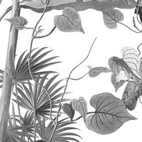 Фотообои Croissances Monochrome INX8-082