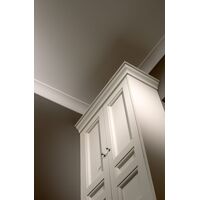 Laeliist B8 Nomastyl