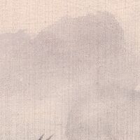 Fototapeet Mandarin Morning RSX18-060