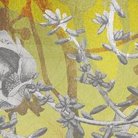 Fototapeet Golden Sun RSX4-019