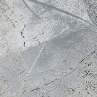 Fototapeet Flower Fossil RSX4-020