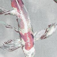 Fototapeet Koi RSX6-001