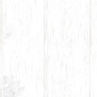 Fototapeet Golden Koi RSX8-049