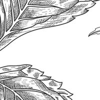 Fototapeet Bumble Bee RSX8-054