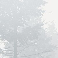 Fototapeet Silver Haze RSX8-055