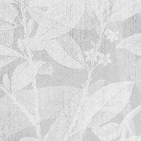 Fototapeet Flora RSX8-057