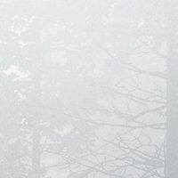 Fototapeet Silver Haze RSX8-055