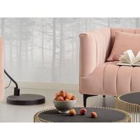 Fototapeet Silver Haze RSX8-055 (RAW)