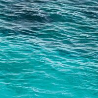 Fototapeet Dreambay SHX4-023