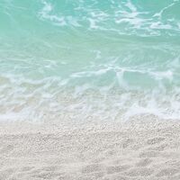 Fototapeet Dreambay SHX4-023