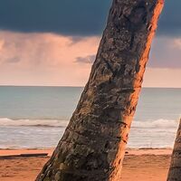 Fototapeet Vertical Paradise SHX4-090