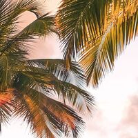 Fototapeet Vertical Paradise SHX4-090