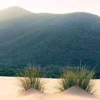 Fototapeet Vivid Dunes SHX4-091