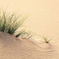 Fototapeet Vivid Dunes SHX4-091