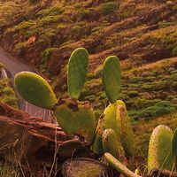 Fototapeet Warmes Licht SHX4-092