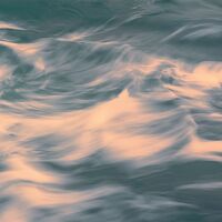 Fototapeet Cry of the Sea SHX4-129