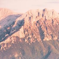 Fototapeet Flowering Tales SHX4-130