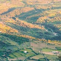 Fototapeet Flowering Tales SHX4-130