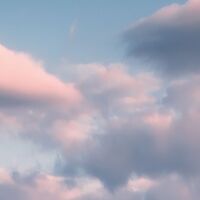 Fototapeet Flowering Tales SHX4-130