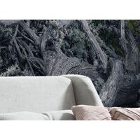 Fototapeet Flowering Tales SHX4-130