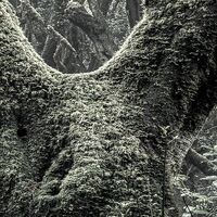 Fototapeet Das Model SHX5-018