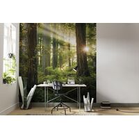 Fototapeet Goblins Woods SHX5-037 (Stefan Hefele v.2)