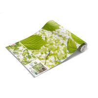 Fototapeet Im Frühlingswald SHX5-045