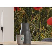 Fototapeet Poppy World SHX5-071