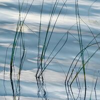 Fototapeet Am Ende des Tages SHX6-004