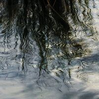 Fototapeet Am Ende des Tages SHX6-004