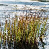 Fototapeet Am Ende des Tages SHX6-004