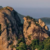 Fototapeet Monkey Island SHX7-122