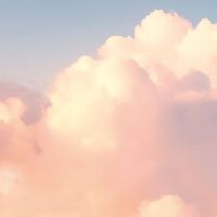 Fototapeet Monkey Island SHX7-122