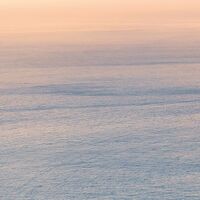 Fototapeet Monkey Island SHX7-122