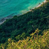 Fototapeet Monkey Island SHX7-122