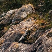 Fototapeet Abenteuerland SHX8-001