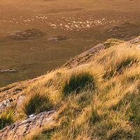 Fototapeet Abenteuerland SHX8-001