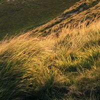 Fototapeet Abenteuerland SHX8-001