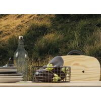 Fototapeet Abenteuerland SHX8-001