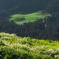 Fototapeet Alpenglück SHX8-003