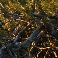 Fototapeet Licht des Südens SHX8-013