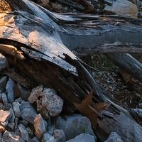 Fototapeet Licht des Südens SHX8-013